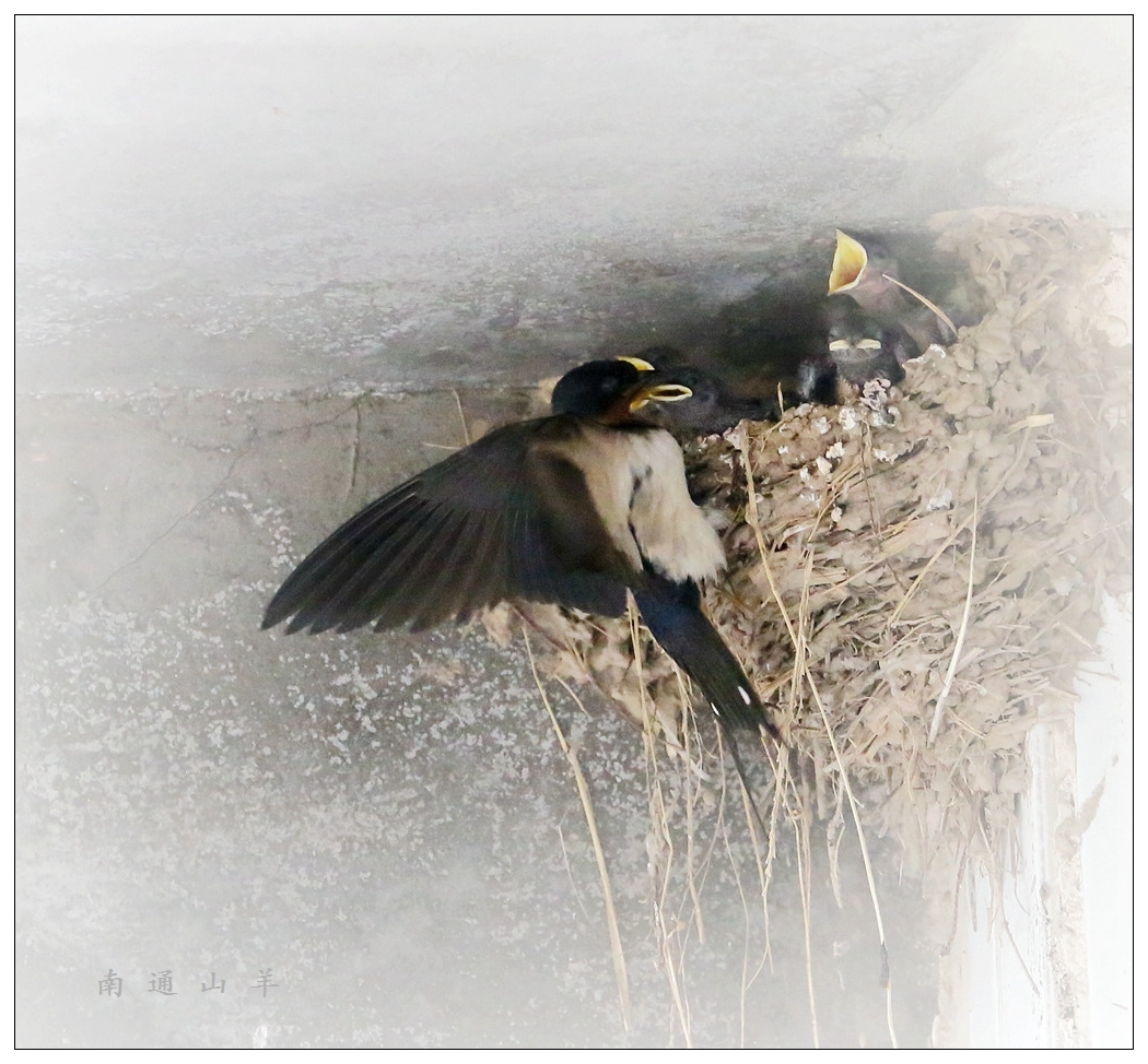 4F9A4736_ 928K..13.jpg