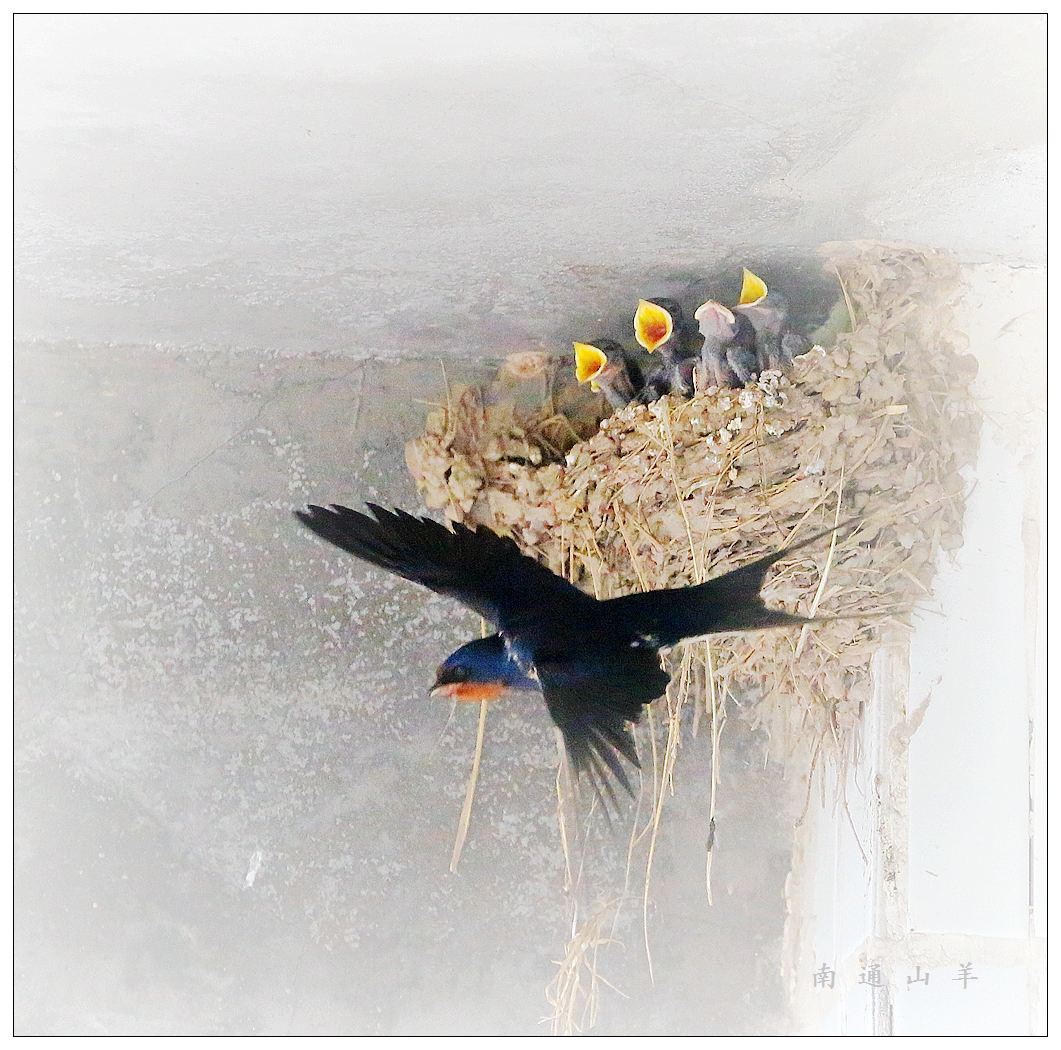 4F9A4569_ 837K_副本.jpg