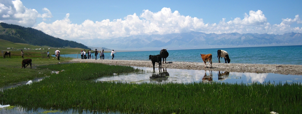 赛里木湖8.jpg