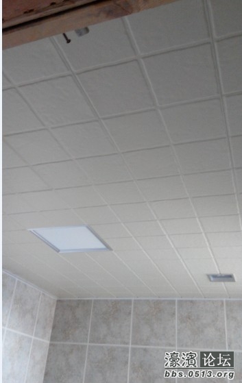 卫生间吊顶2.JPG