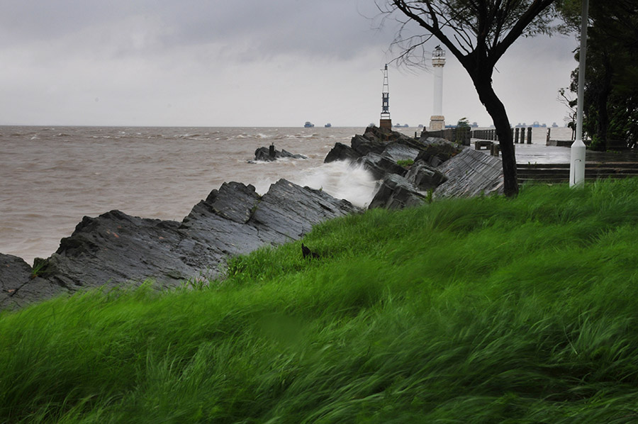 10号台风“麦德姆”影响本市  南通江面狂风大作浪高雨急 (1).jpg