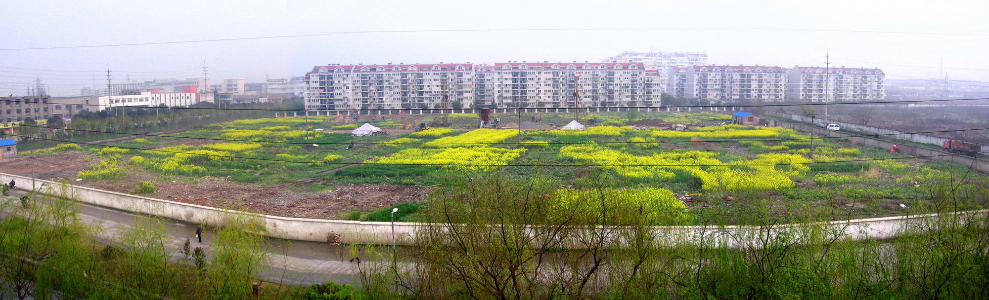 2007-朝晖小学_缩小大小.jpg