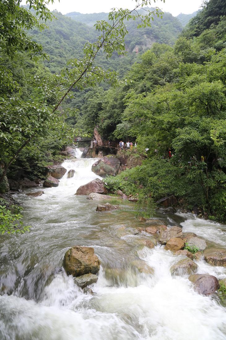 白水黑山绿树 006.jpg