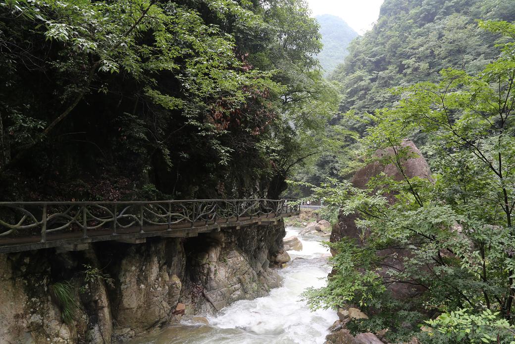 白水黑山绿树 010.jpg