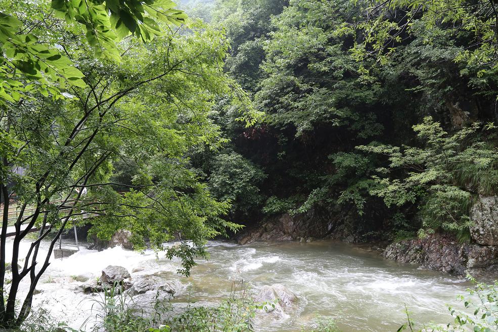 白水黑山绿树 007.jpg