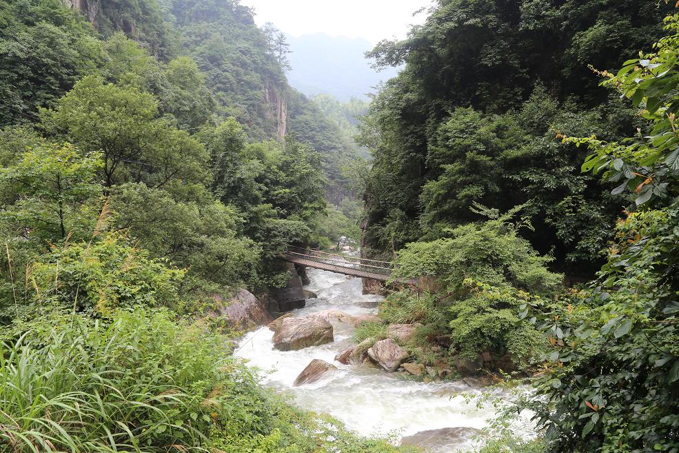 白水黑山绿树 012.jpg