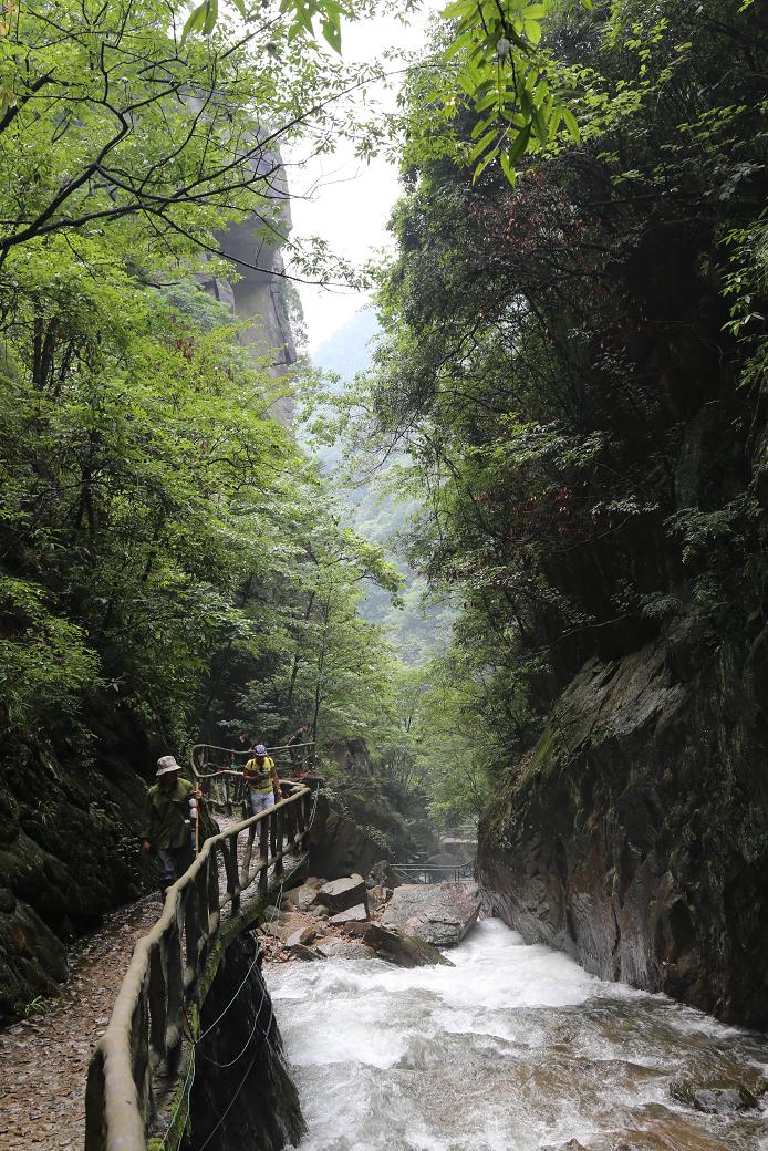 白水黑山绿树 014.jpg