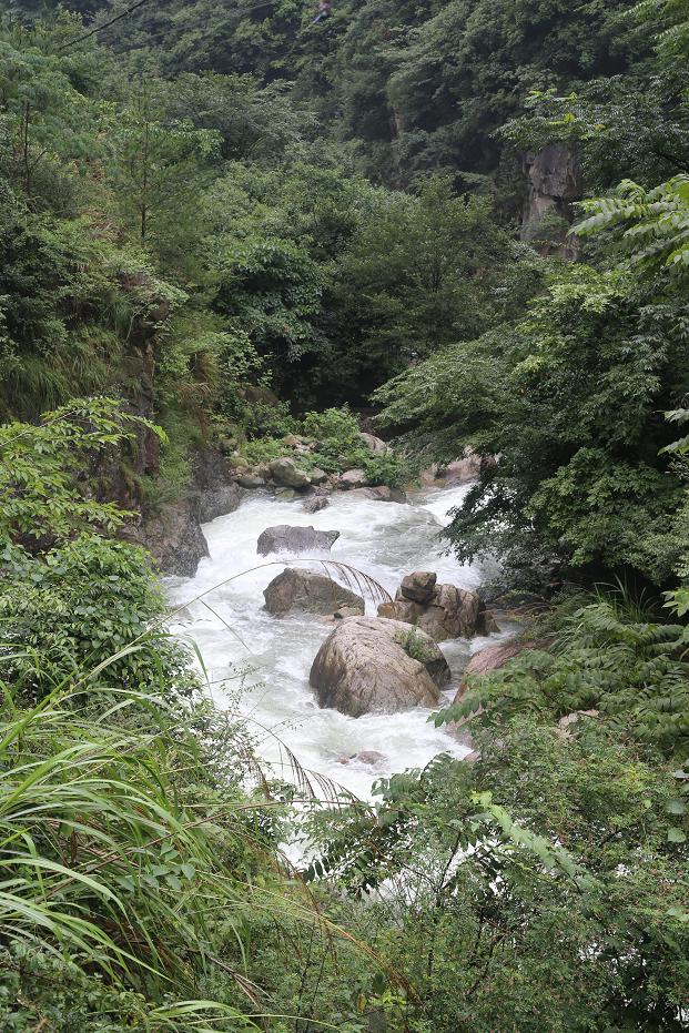 白水黑山绿树 013.jpg