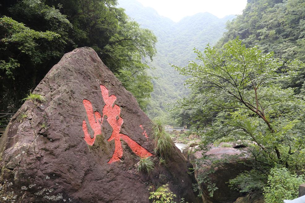 白水黑山绿树 011.jpg