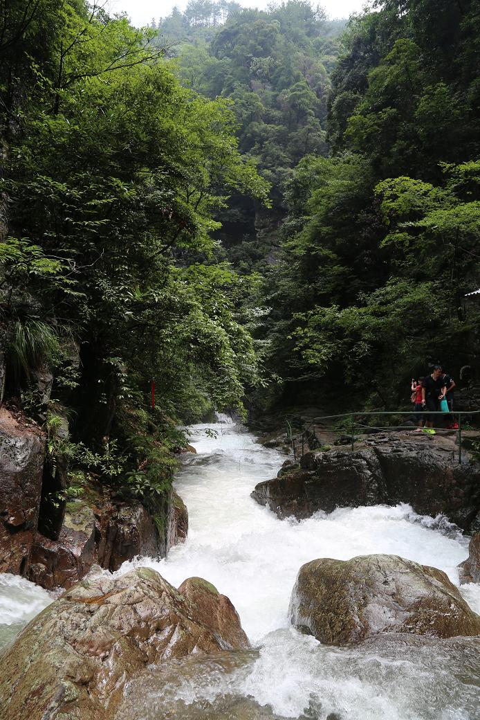 白水黑山绿树 016.jpg