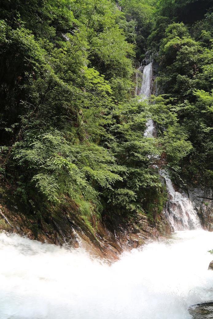 白水黑山绿树 015.jpg