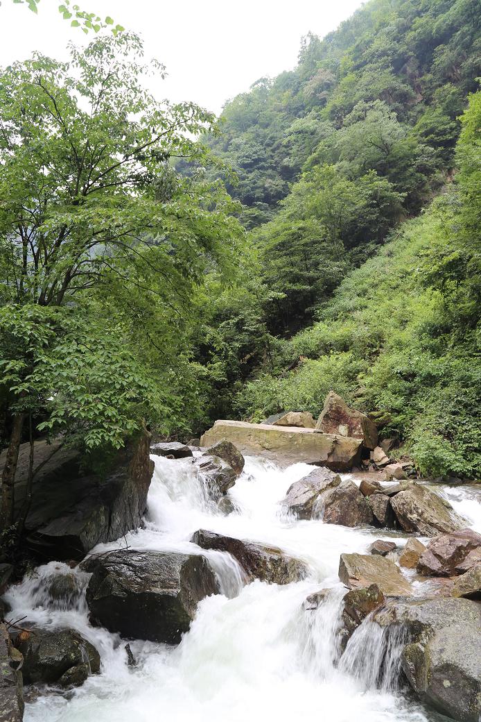 白水黑山绿树 018.jpg