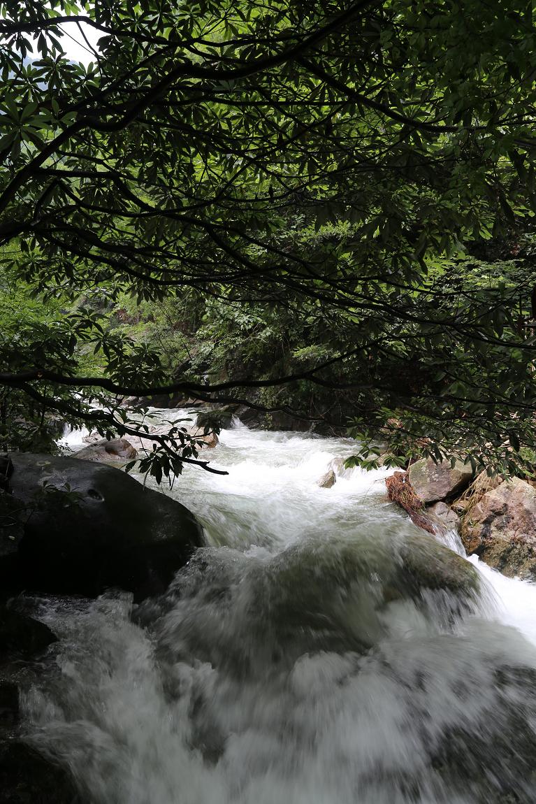 白水黑山绿树 020.jpg