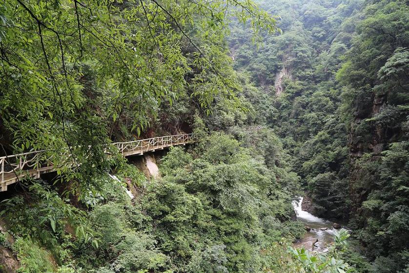 白水黑山绿树 021.jpg