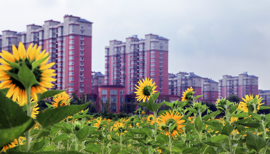 家住幸福新城 (2).jpg