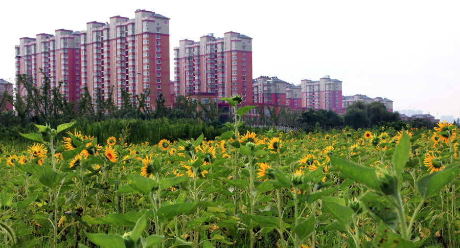 家住幸福新城 (5).jpg