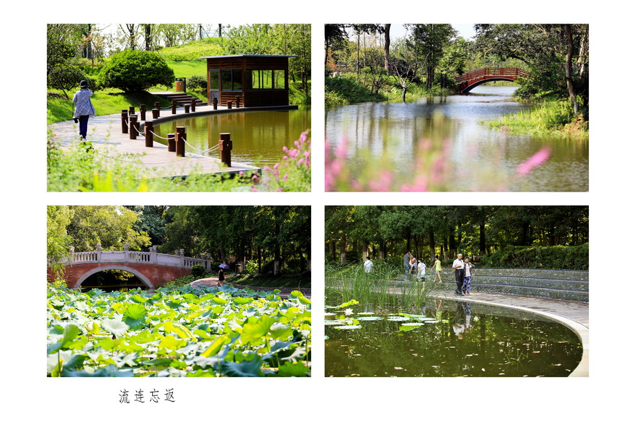 流连忘返-2.jpg