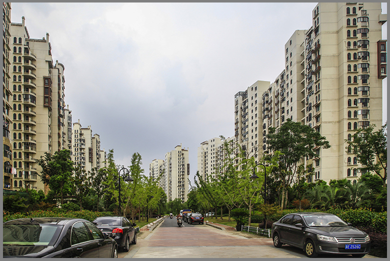 2.小区主干道.jpg