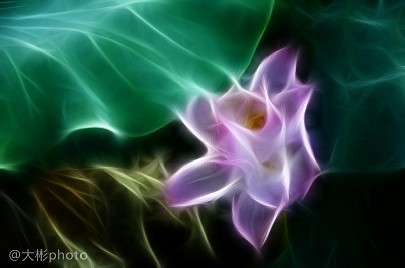 DSC_0514 xianzhihui.jpg