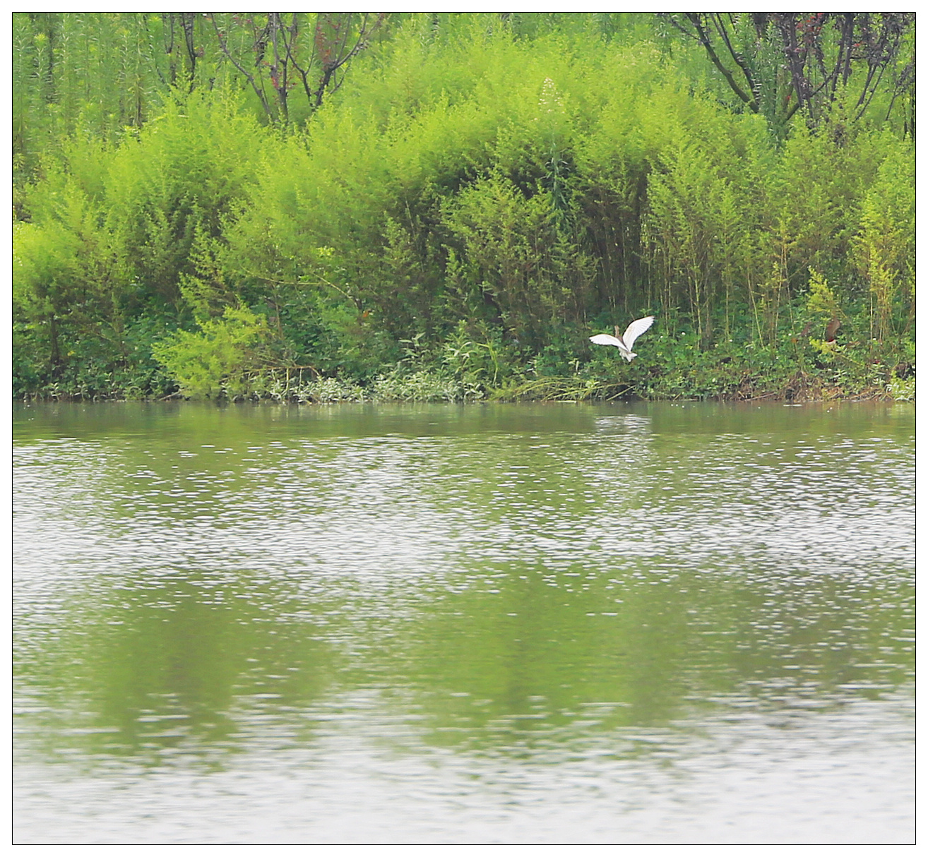 4F9A6466_ 1280..885K.jpg