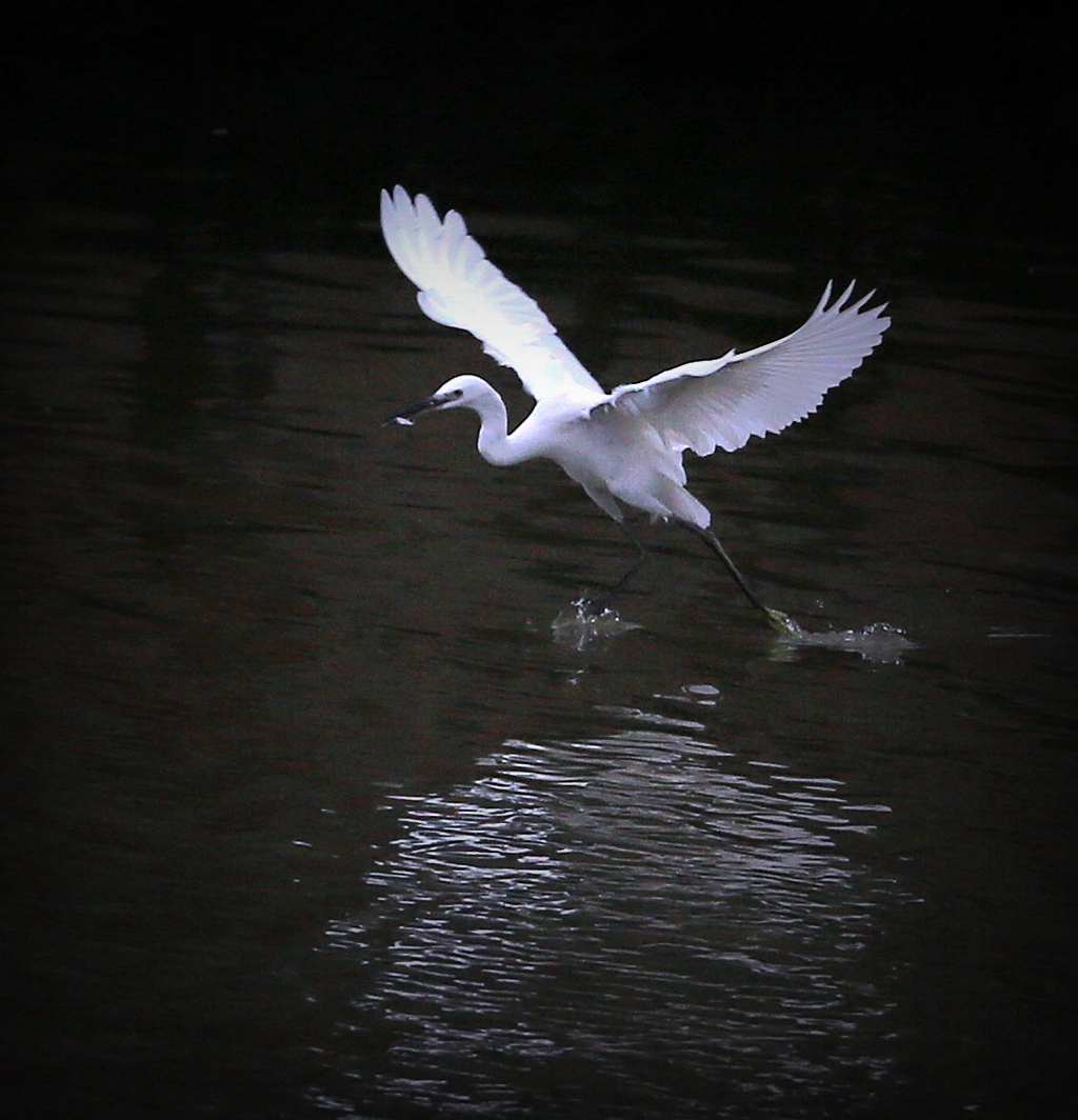 4F9A6995_ 1024_副本.jpg