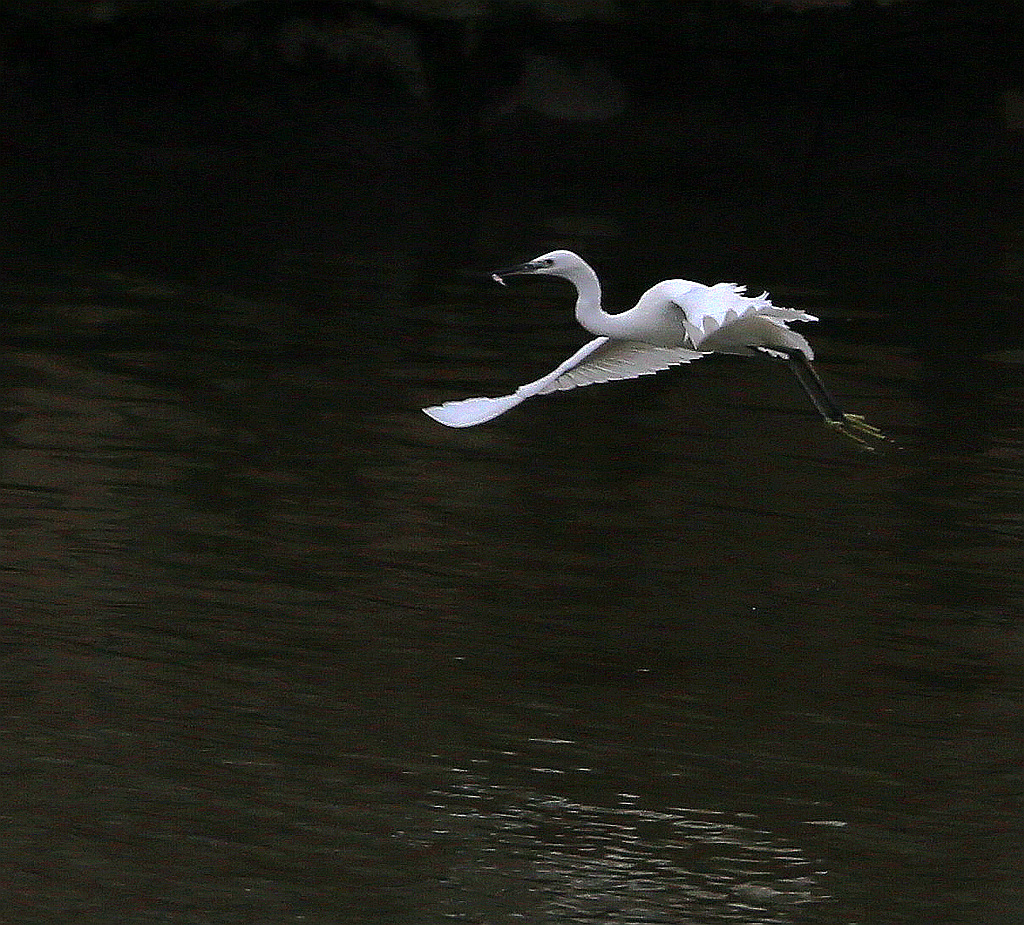 4F9A6998_ 1024_副本.jpg