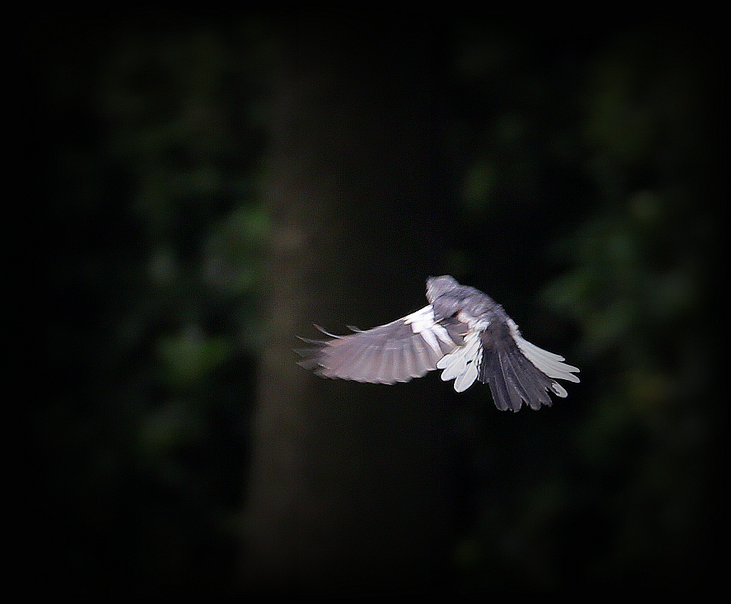 4F9A8896_ 986K_副本.jpg