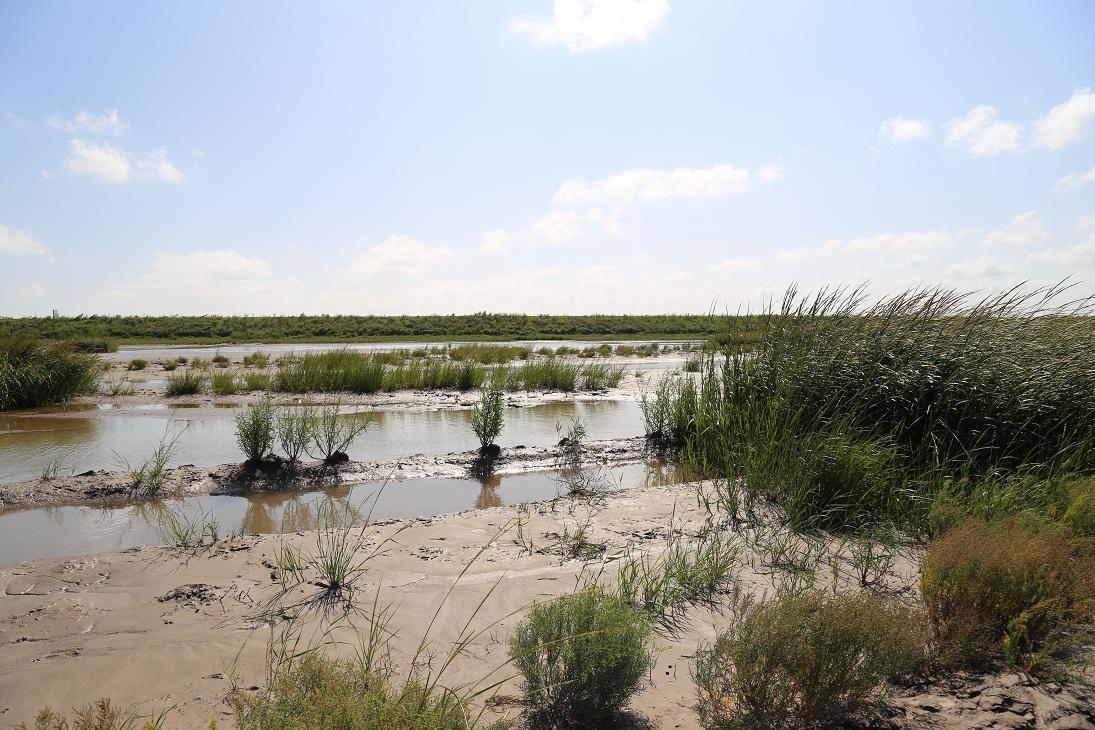 海门东灶港2014.9.14 012.jpg