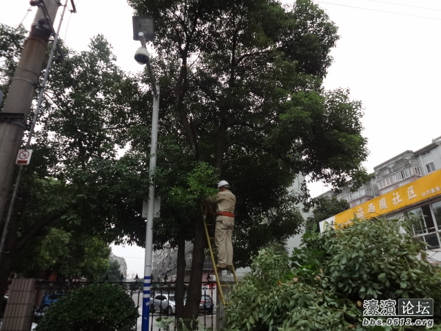 这架势，专业的啊