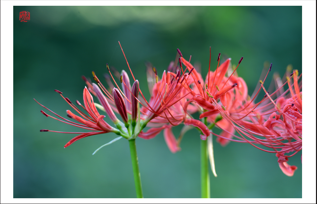 未标题-2 副本.jpg