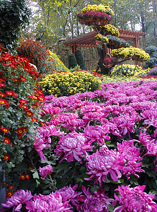 (7(DB(}](62AMZ4$V4N9CD0_副本 - 副本.jpg