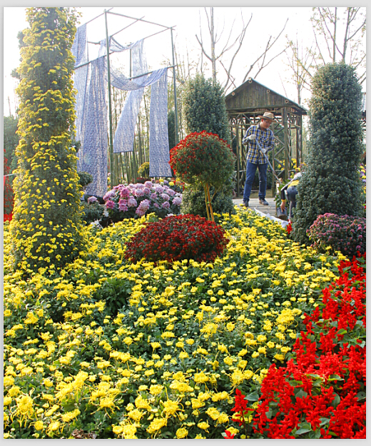 9896W7Y%Q}16A{6}4_OM8WF - 副本.jpg