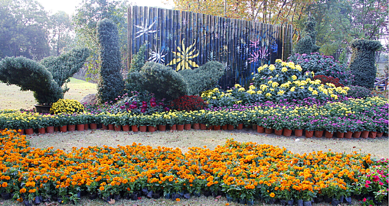 KTW$W{]S3J91LJD38~0X4TN - 副本.jpg