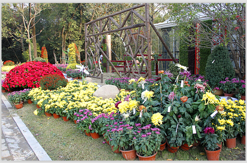 MB6UZ$~6}19~_CG8E6TI5MN - 副本.jpg