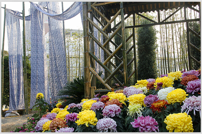 MV1%J94MG$~}MU`}]B(ZQ1W - 副本.jpg