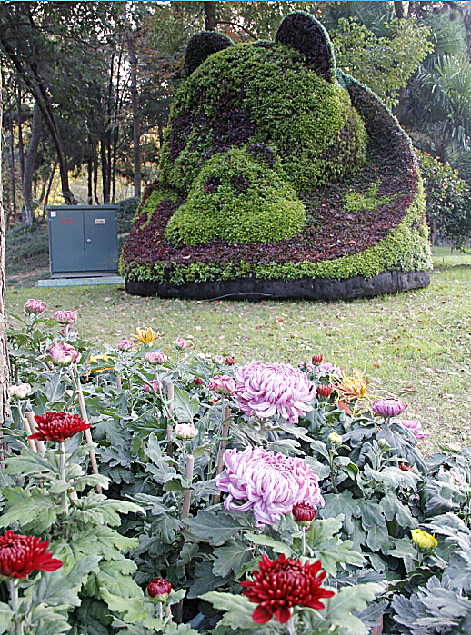 %[2OGOR)36OXT_]77CLQ6`Y_副本 - 副本.jpg