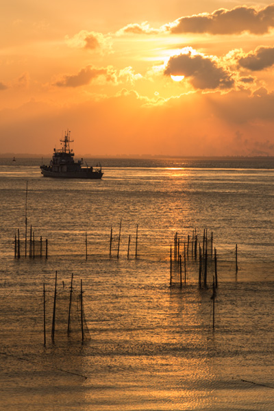 金秋江畔 (2).jpg