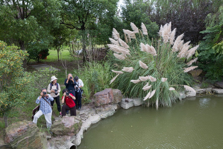 争拍美景 (2).jpg