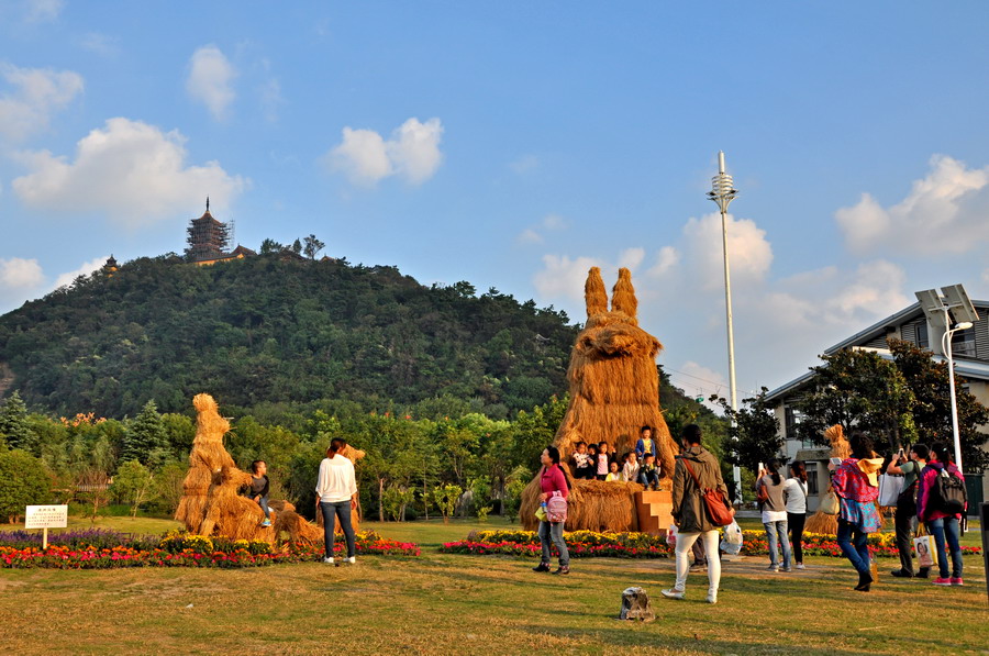 DSC_0058_缩小大小.JPG