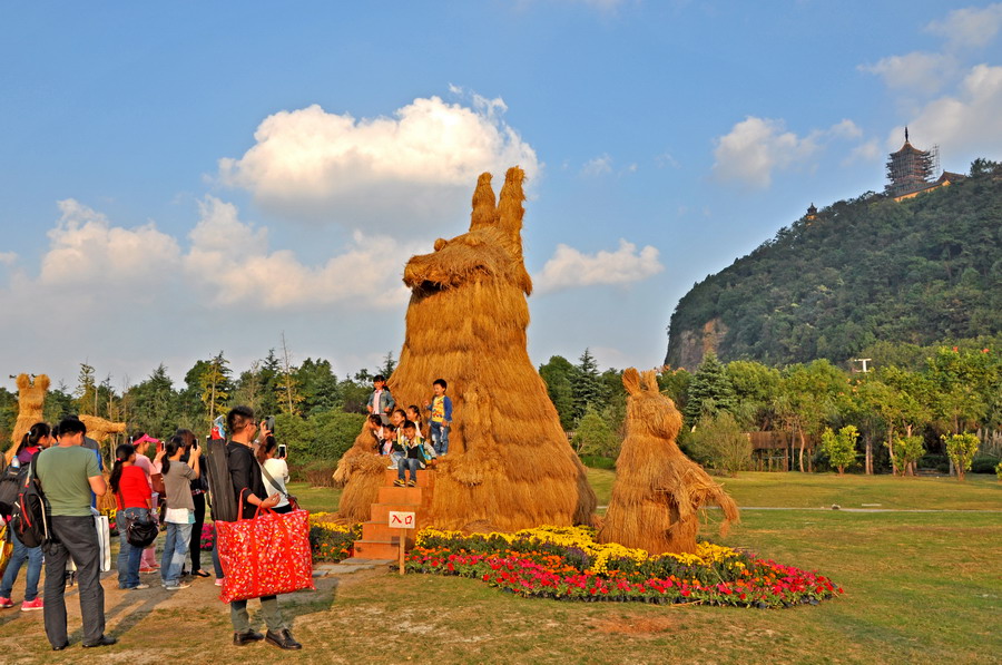 DSC_0061_缩小大小.JPG