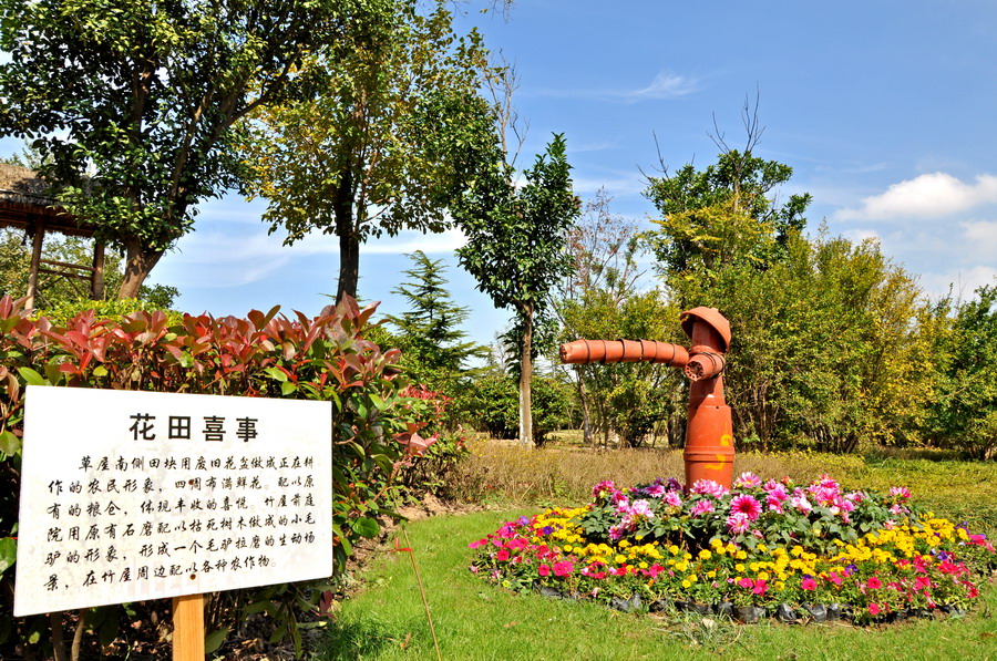 DSC_0538_缩小大小.JPG