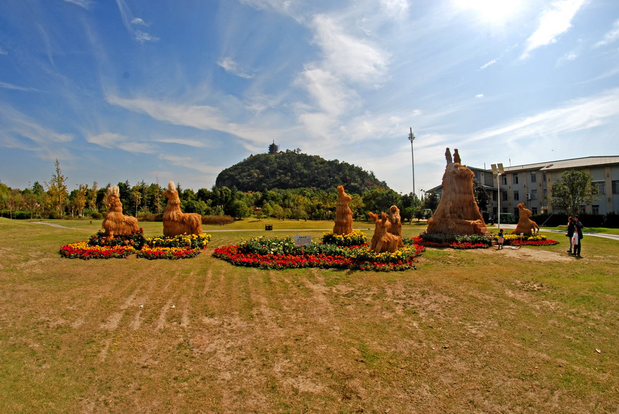 DSC_6071_缩小大小.JPG