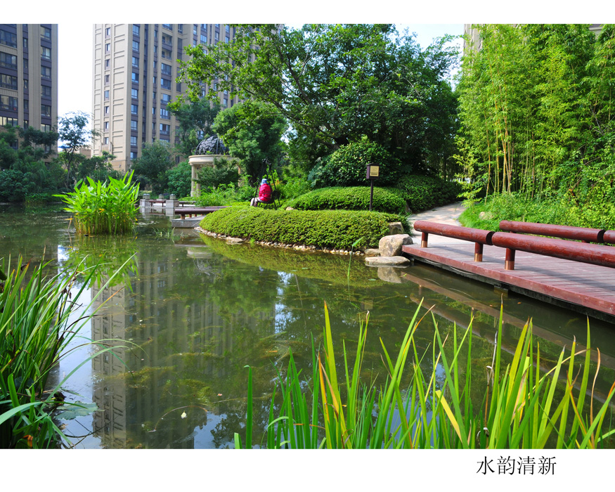 主城区的一方宝地 (3).jpg