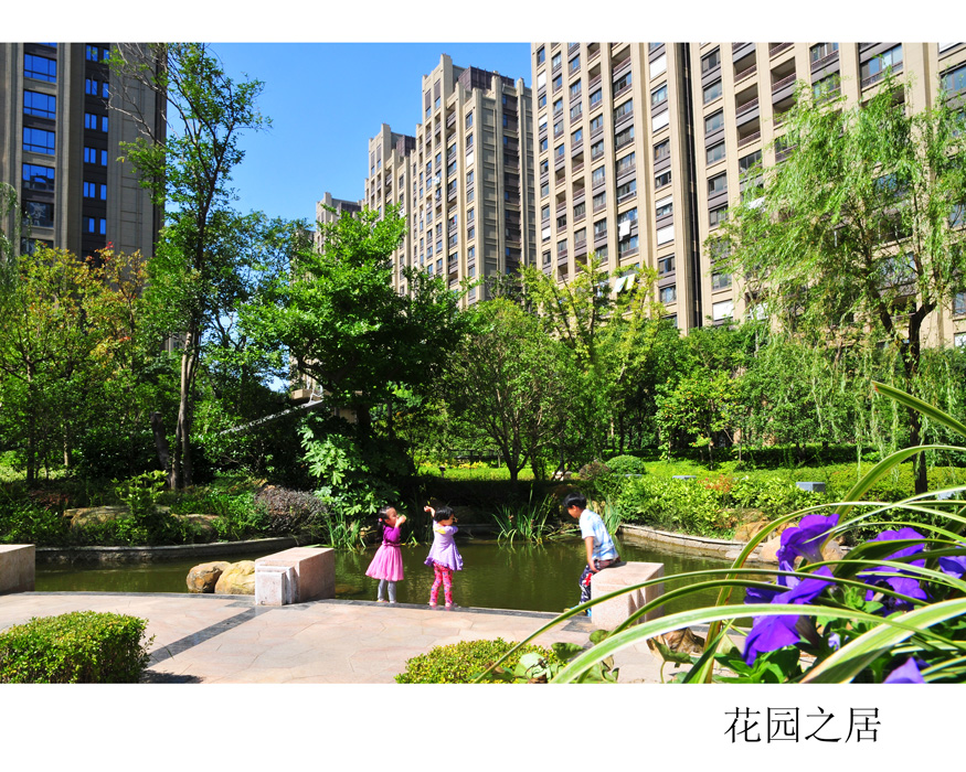 主城区的一方宝地  .jpg