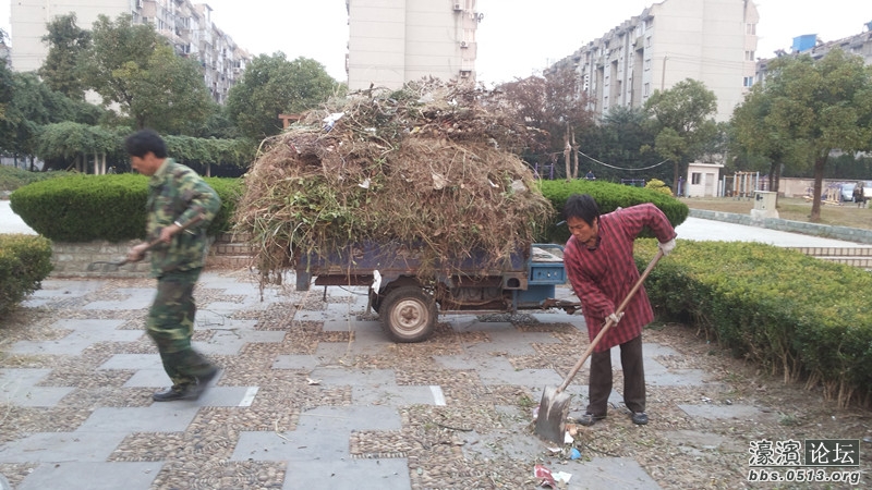 清理乱堆放.jpg