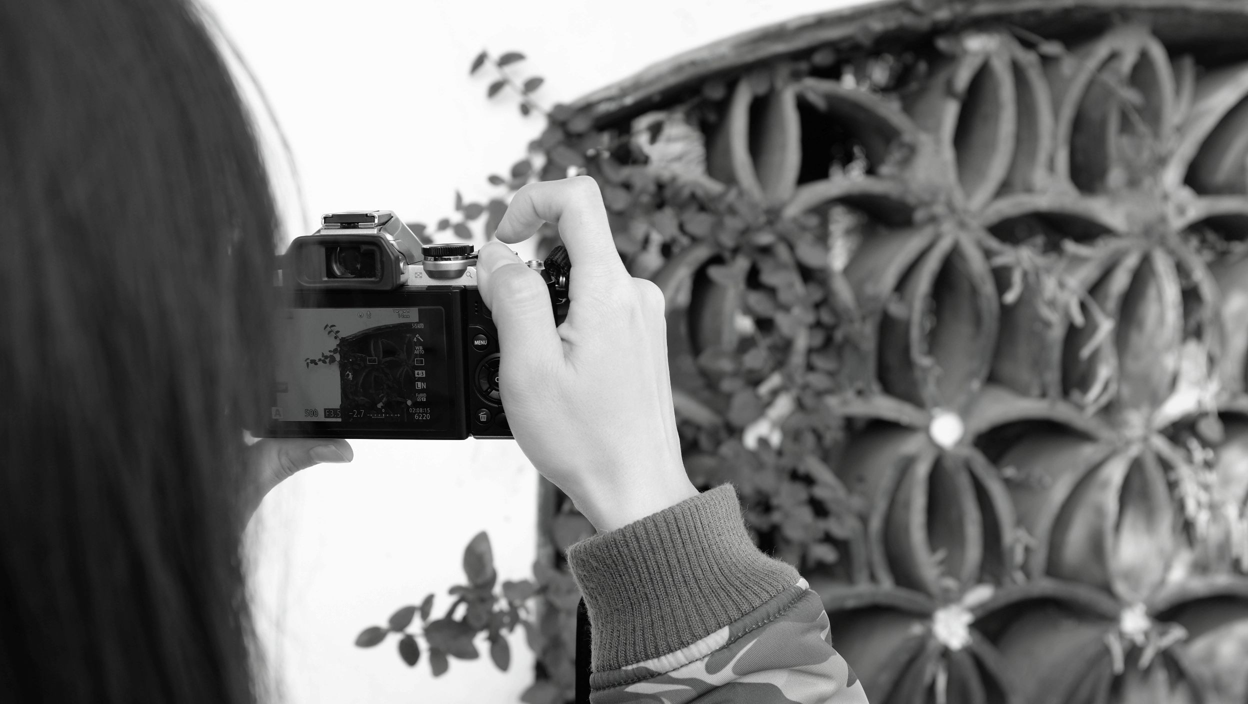 中午沈寿博物馆外拍照的人