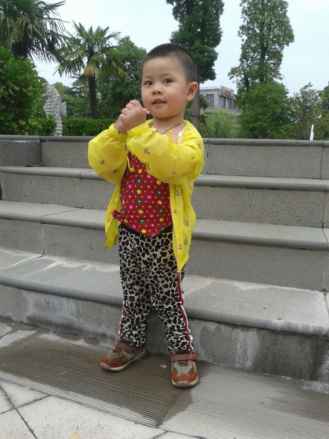 透视装、花肚兜、豹纹裤