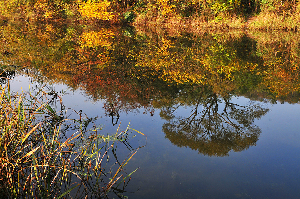 军山河畔风光好 南通小九寨沟秋色正浓.jpg