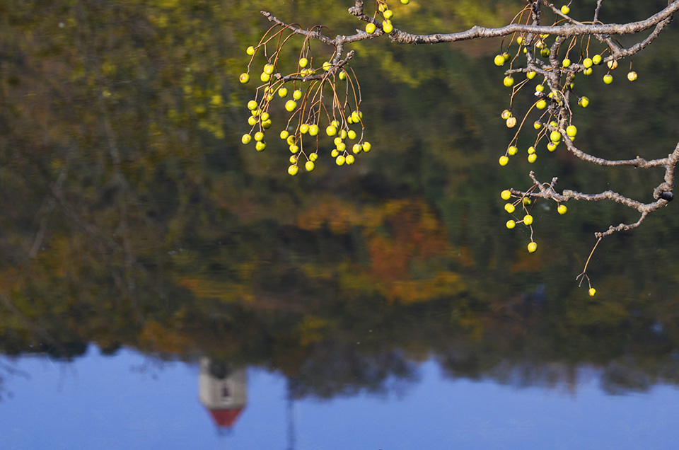 军山河畔风光好 南通小九寨沟秋色正浓 (1).jpg