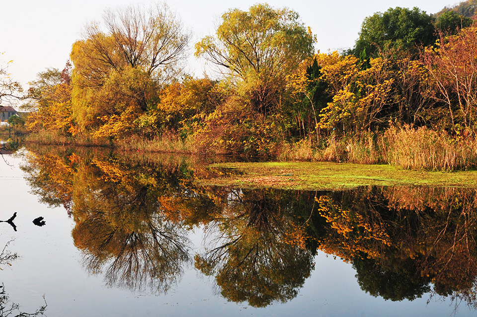 军山河畔风光好 南通小九寨沟秋色正浓 (4).jpg